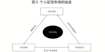 起底個人征信軟件開發 技術賦能與合規挑戰